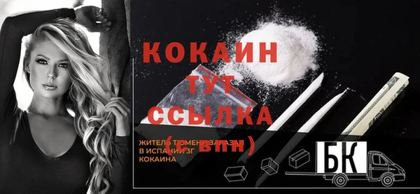 мдпв Вяземский