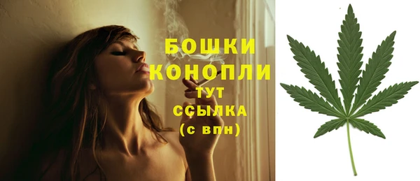 мдпв Вяземский