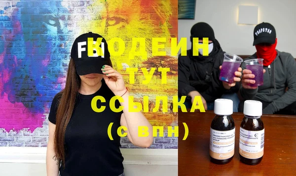 мдпв Вяземский