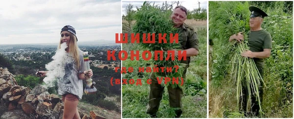 мдпв Вяземский