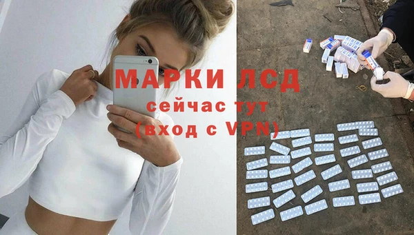 мдпв Вяземский
