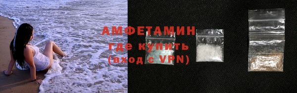 мдпв Вяземский