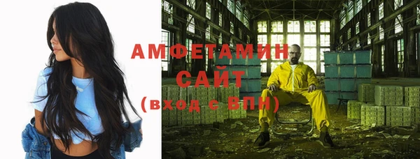 мдпв Вяземский
