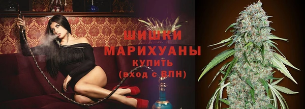 apvp Вязьма