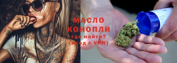 мдпв Вяземский