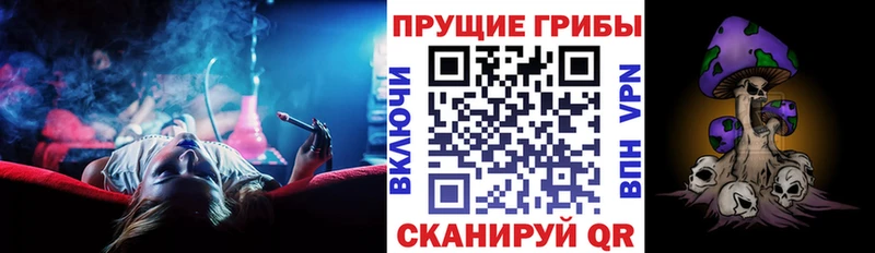 Купить  Нязепетровск  Псилоцибиновые грибы мицелий 
